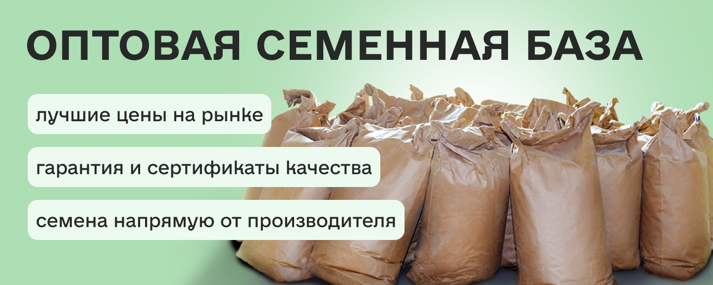 Семена оптом от производителя